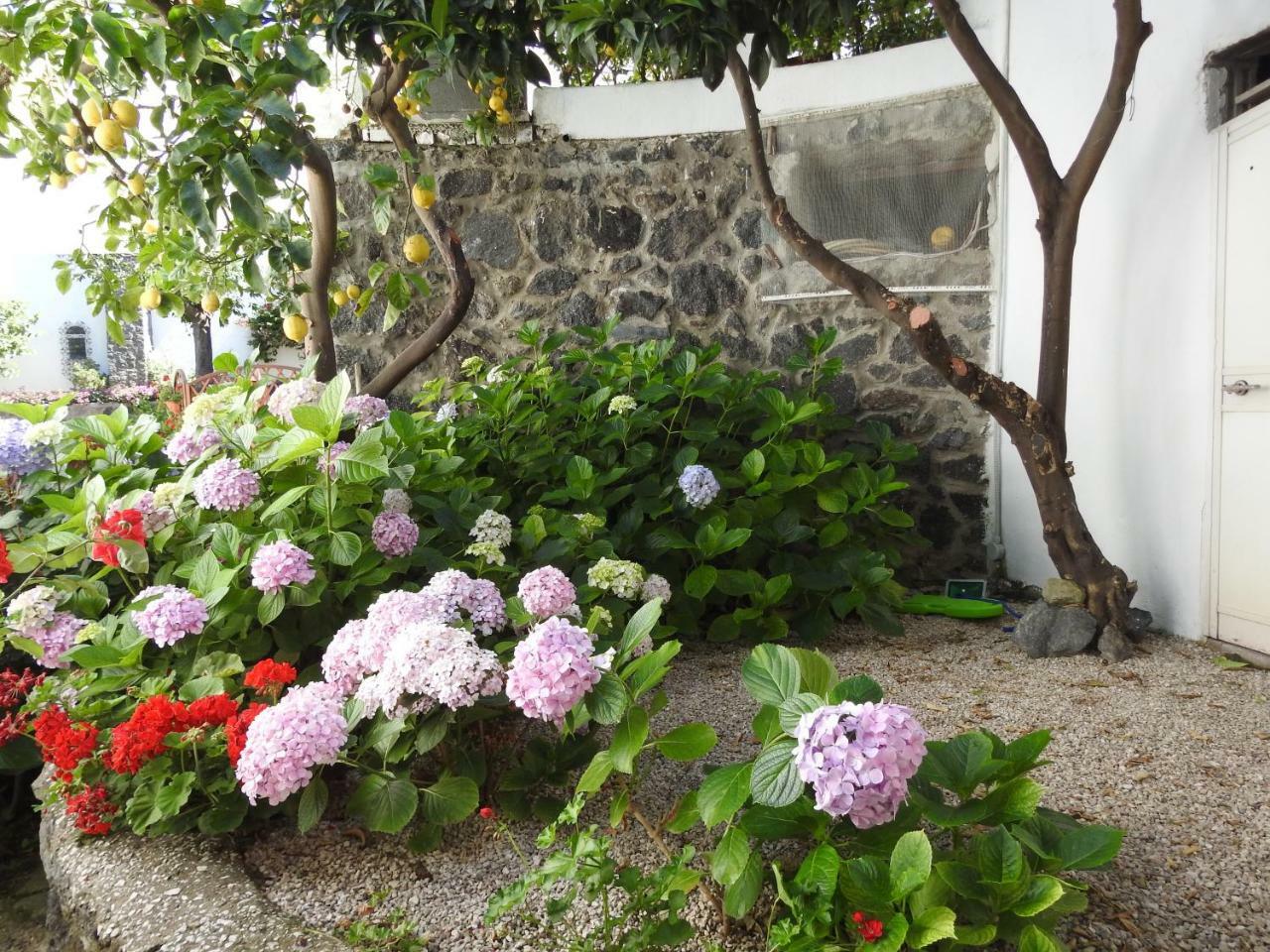 Villa Erade Casamicciola Terme Buitenkant foto